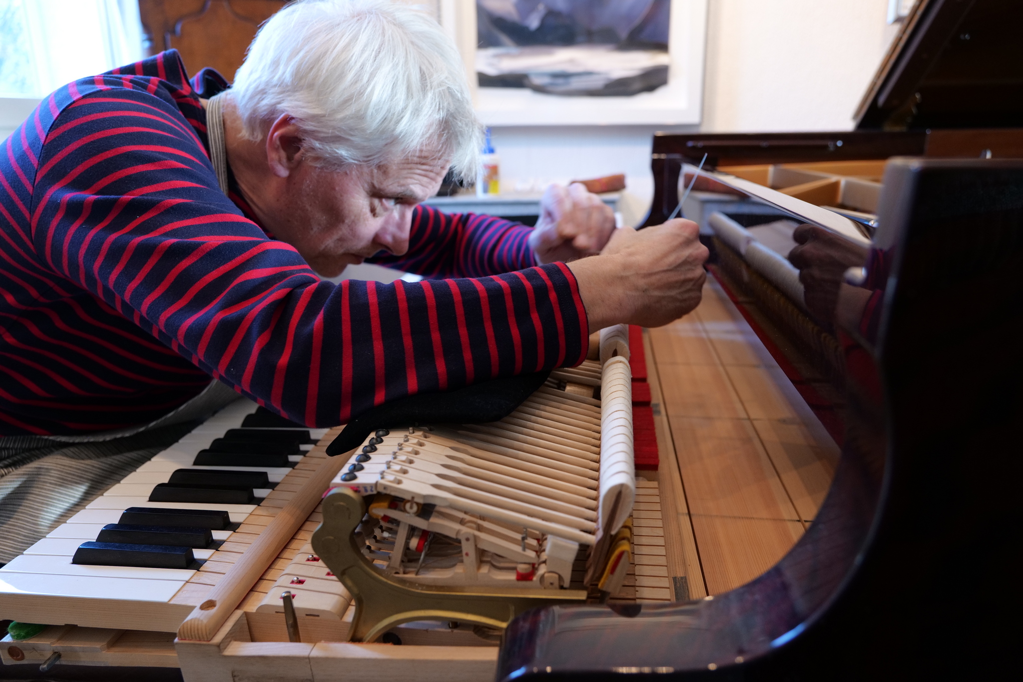 Deep servicing by Steinway specialist